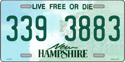 NH license plate 3393883