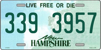 NH license plate 3393957