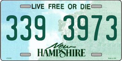 NH license plate 3393973