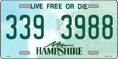 NH license plate 3393988
