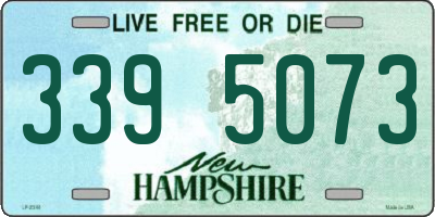NH license plate 3395073