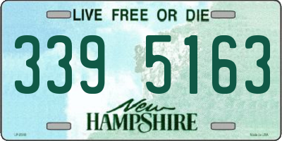 NH license plate 3395163