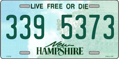 NH license plate 3395373