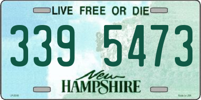 NH license plate 3395473