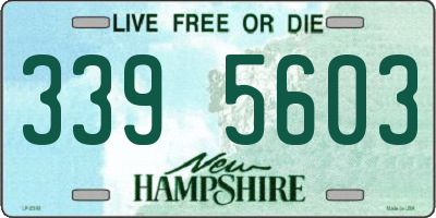 NH license plate 3395603