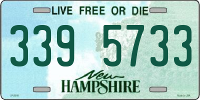 NH license plate 3395733