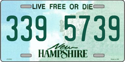 NH license plate 3395739