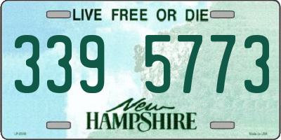 NH license plate 3395773