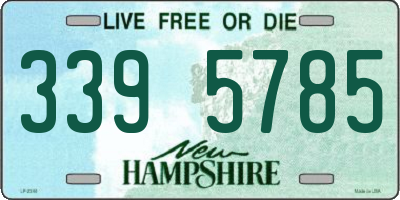 NH license plate 3395785