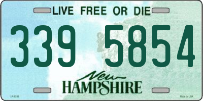 NH license plate 3395854