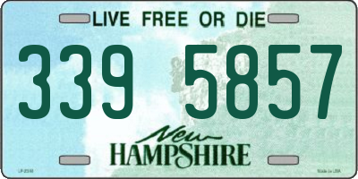 NH license plate 3395857