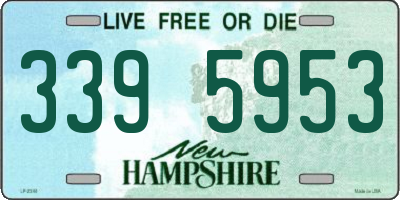 NH license plate 3395953