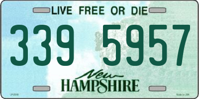 NH license plate 3395957