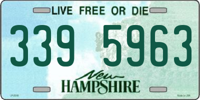 NH license plate 3395963