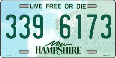 NH license plate 3396173