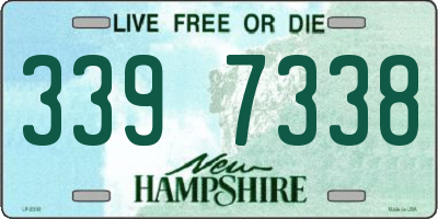 NH license plate 3397338