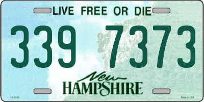 NH license plate 3397373