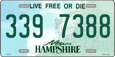 NH license plate 3397388