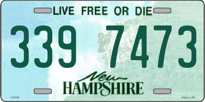 NH license plate 3397473