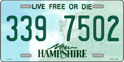 NH license plate 3397502