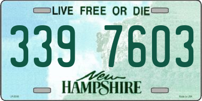 NH license plate 3397603