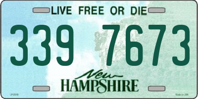 NH license plate 3397673