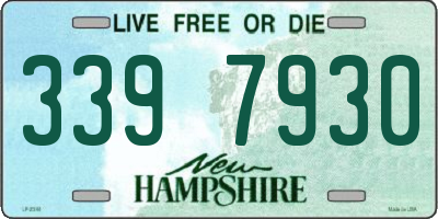 NH license plate 3397930