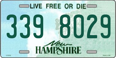 NH license plate 3398029