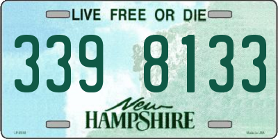 NH license plate 3398133
