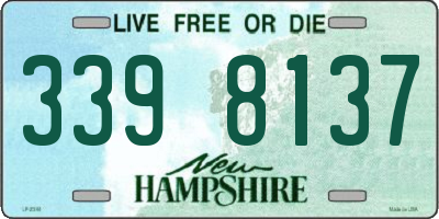NH license plate 3398137