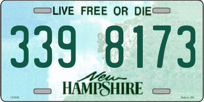 NH license plate 3398173