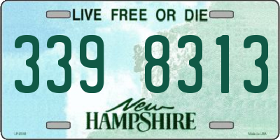 NH license plate 3398313