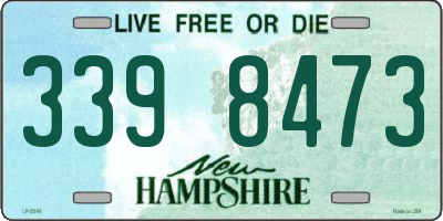 NH license plate 3398473