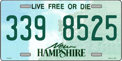 NH license plate 3398525