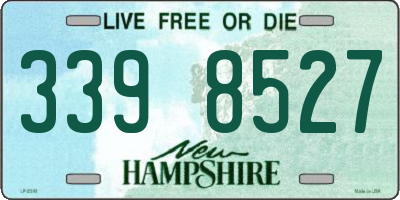 NH license plate 3398527