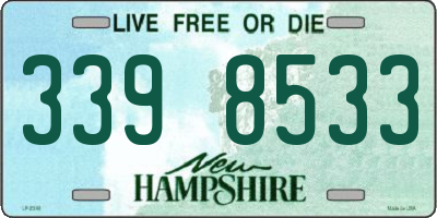NH license plate 3398533