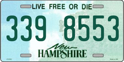 NH license plate 3398553