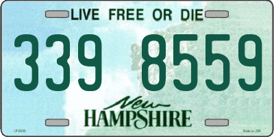 NH license plate 3398559