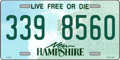 NH license plate 3398560