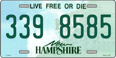 NH license plate 3398585