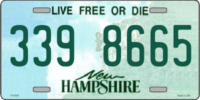 NH license plate 3398665