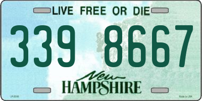 NH license plate 3398667