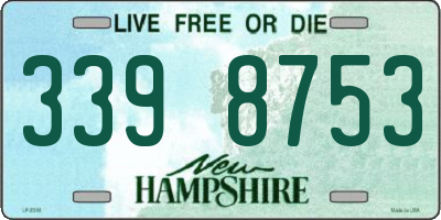 NH license plate 3398753
