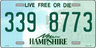 NH license plate 3398773