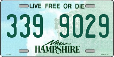 NH license plate 3399029