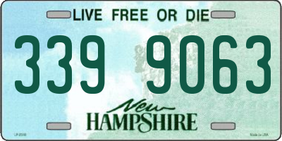 NH license plate 3399063