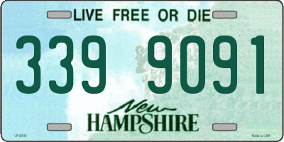 NH license plate 3399091