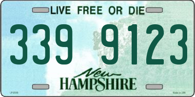 NH license plate 3399123