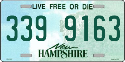 NH license plate 3399163