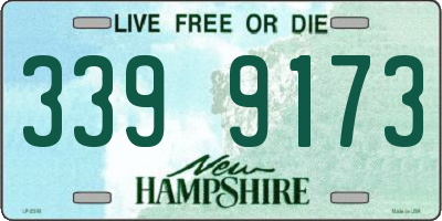 NH license plate 3399173